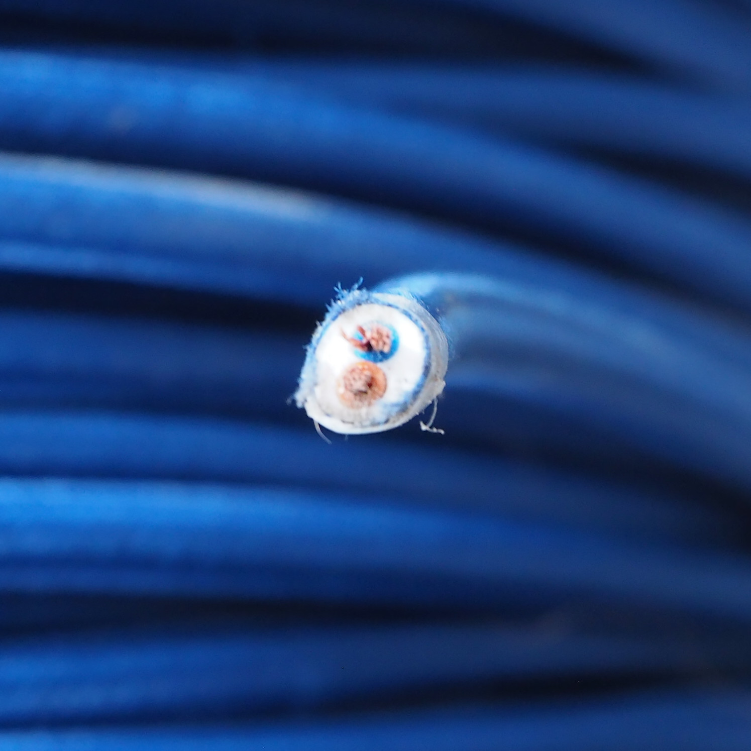 Two-wire electrical cable with blue textile (100 meters)