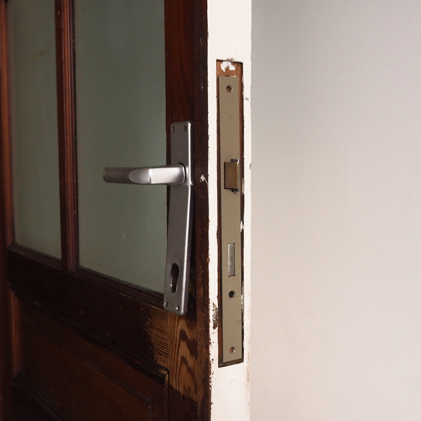 Door in solid wood and opaque glass