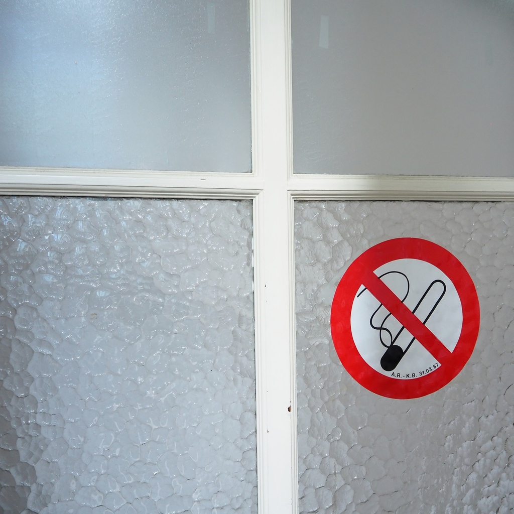 Solid wooden door with textured glass panels (H. 237,5 x W. 87,5 cm)