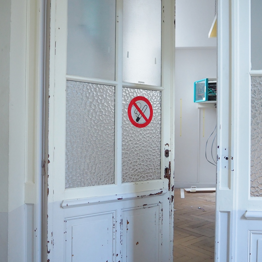 Solid wooden door with textured glass panels (H. 237,5 x W. 87,5 cm)