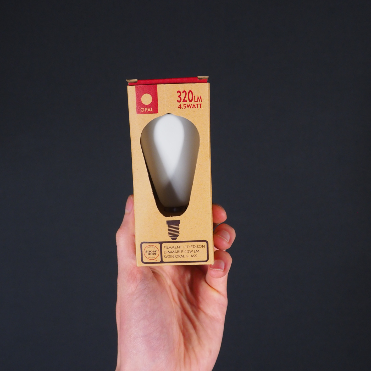 Bulb 'Filament Led Edison 46MM' by Snoerboer (4,5W, E14, Dimmable) - Satin opal glass