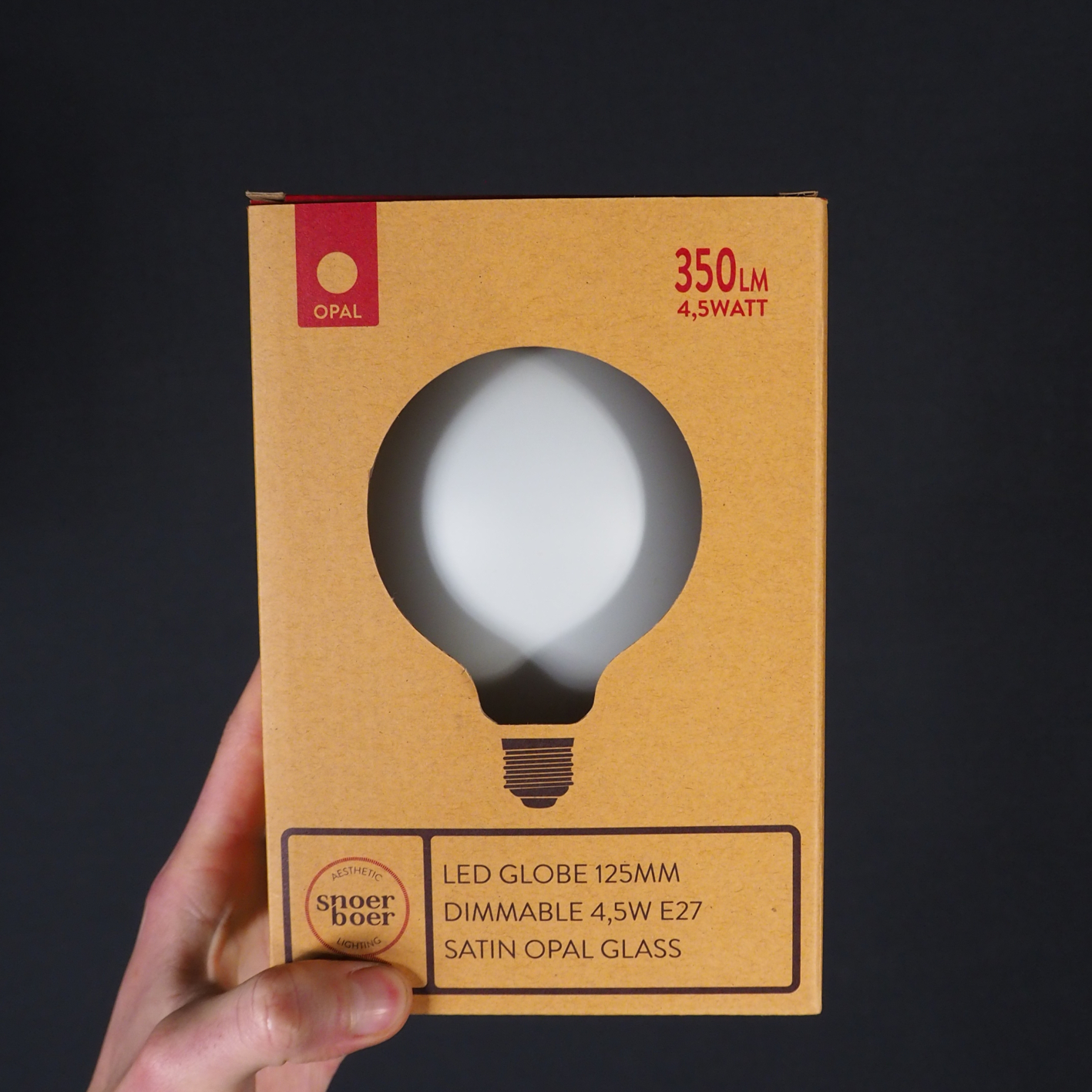 Bulb 'Led Globe 125MM' by Snoerboer (4,5W, E27, Dimmable) - Satin opal glass