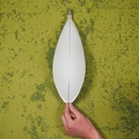 Wall light 'Gota MI5852' by Milan