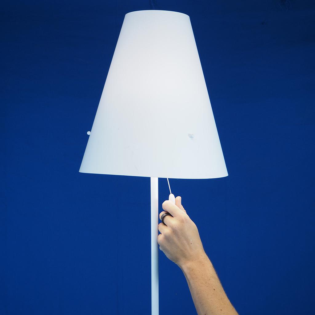 Floor lamp 'Cosylate' by Jacques Rivet for Manade