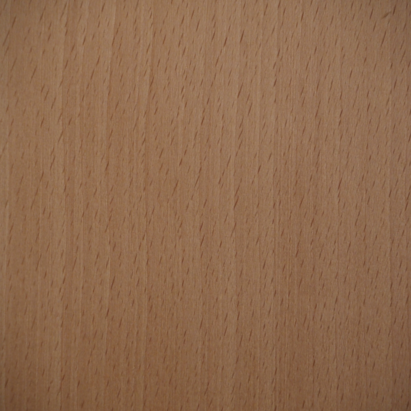 Parquet in beech wood from Sonian Forest (W. 10,5 cm)