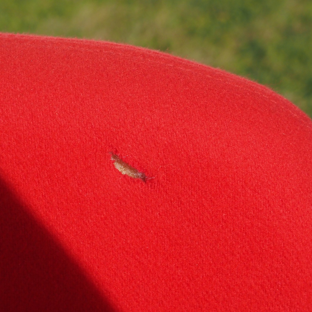 Sofa 'Basket High' by Matthias Demacker for Softline (ca. 2011)