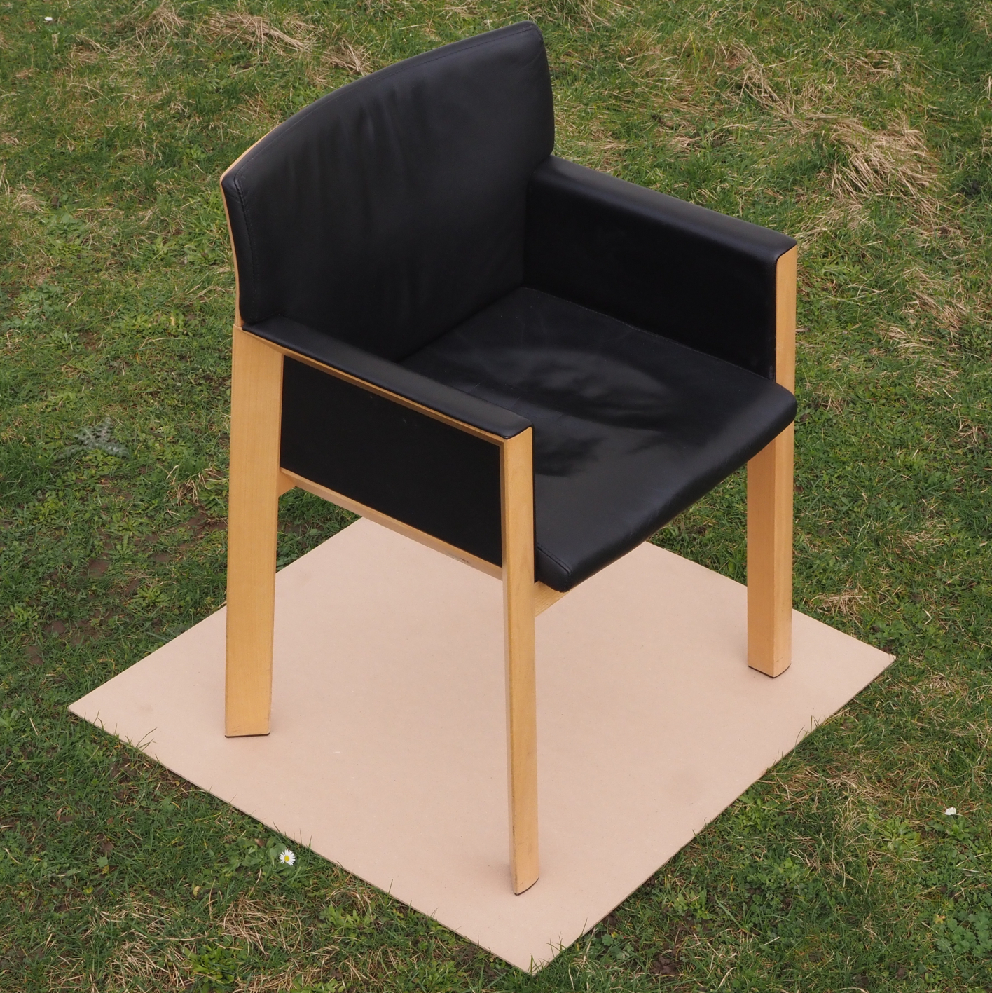 Armchair in beech plywood - Wooden backrest