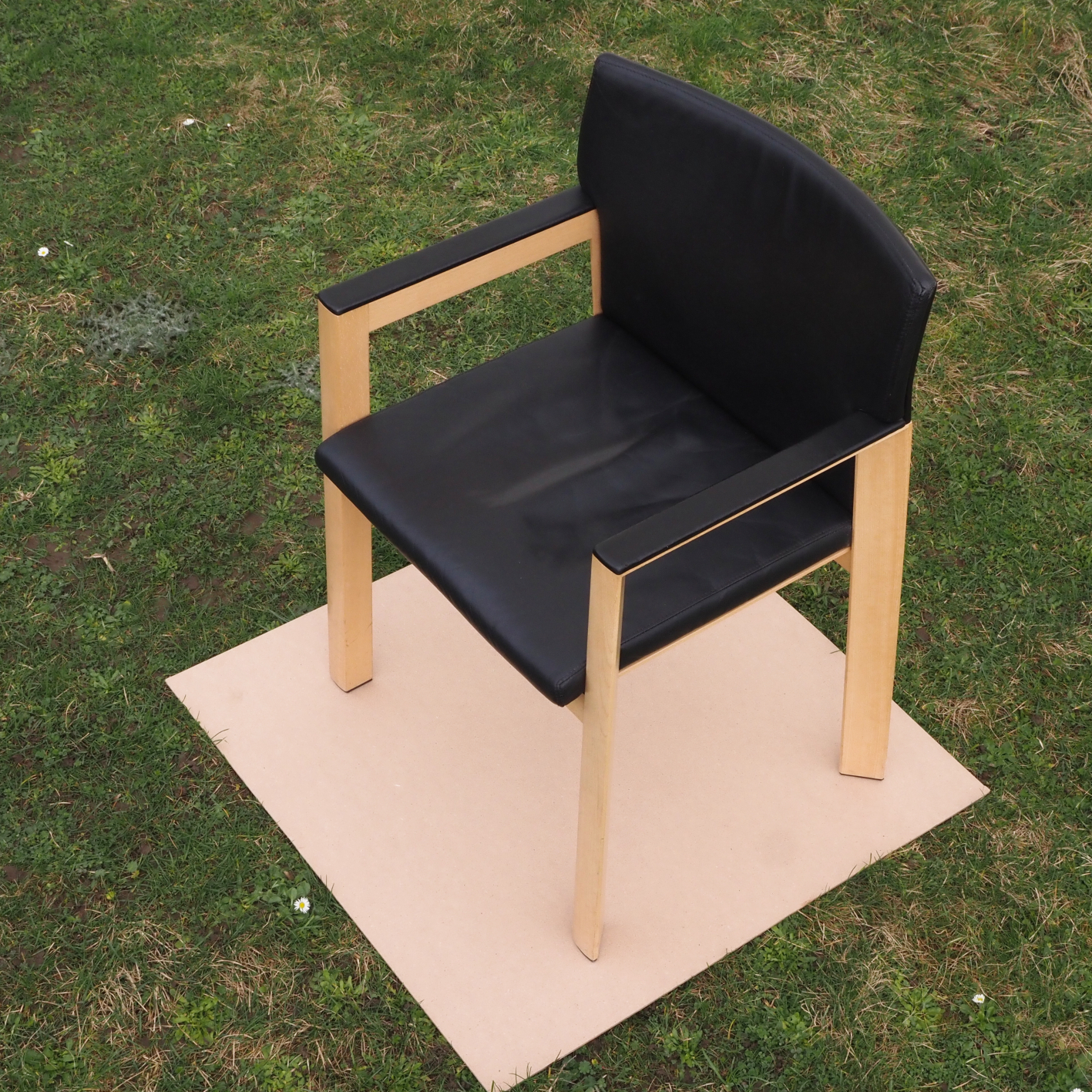 Armchair in beech plywood - Black backrest