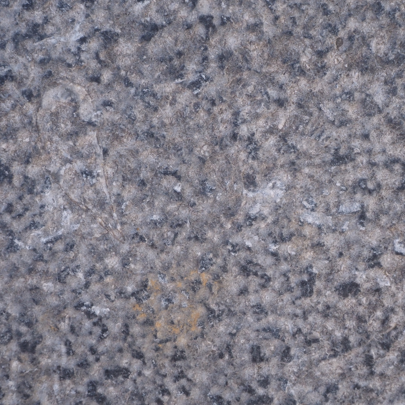 Blue limestone with bush hammered finish - Sold per m2
