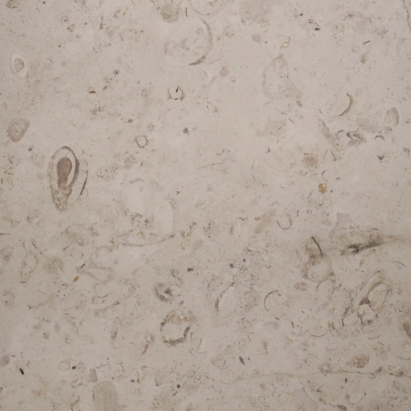 Comblanchien limestone tiles - Only available in our physical shop