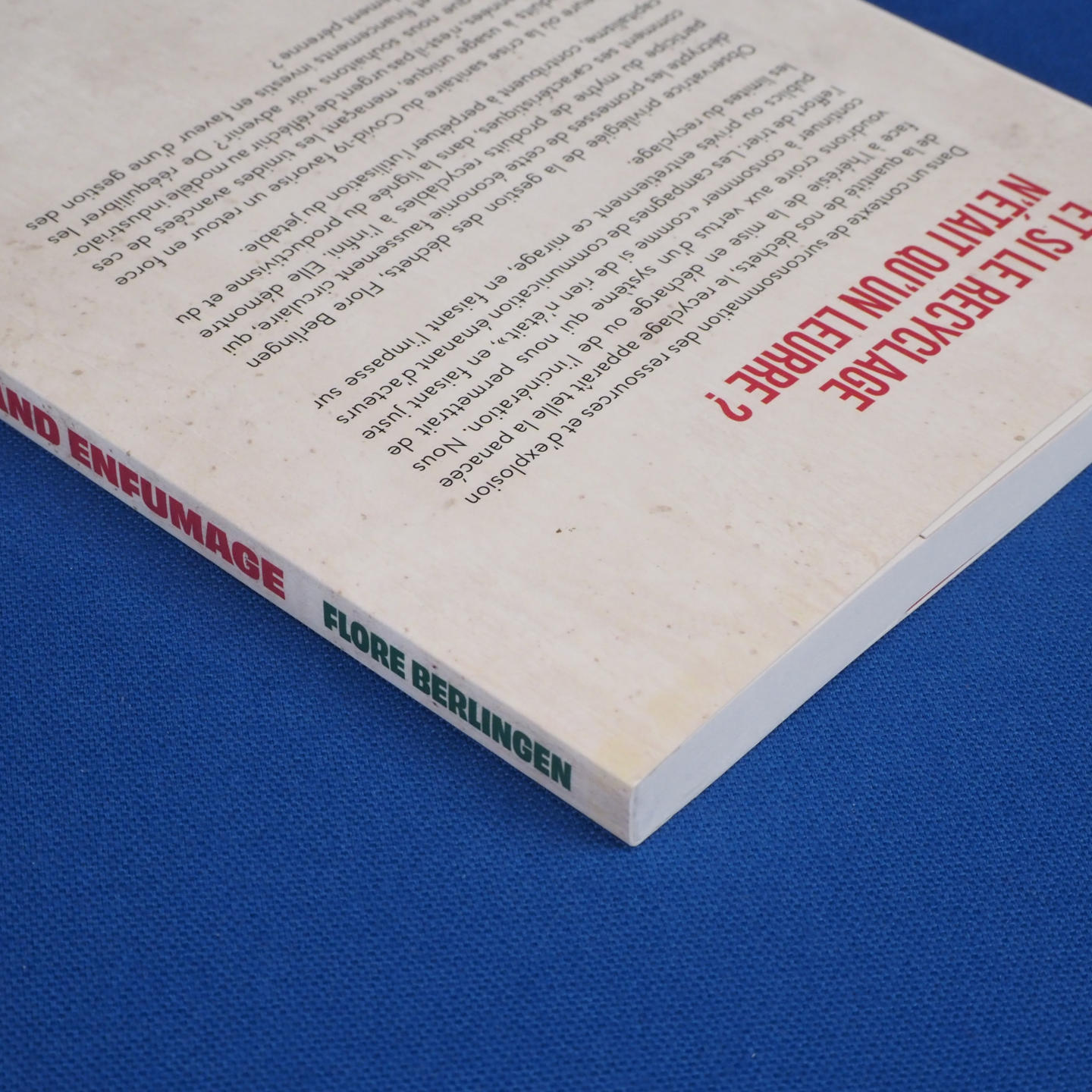 Book 'Recyclage: le grand enfumage' by Flore Berlingen