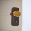 Door in stainless steel with bronze door handles by Jules Wabbes (H. 198 x 53 cm) - Right