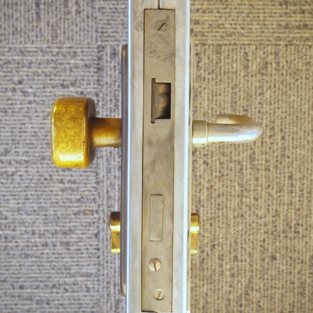 Door in stainless steel with bronze door handles by Jules Wabbes (H. 198 x 53 cm) - Right
