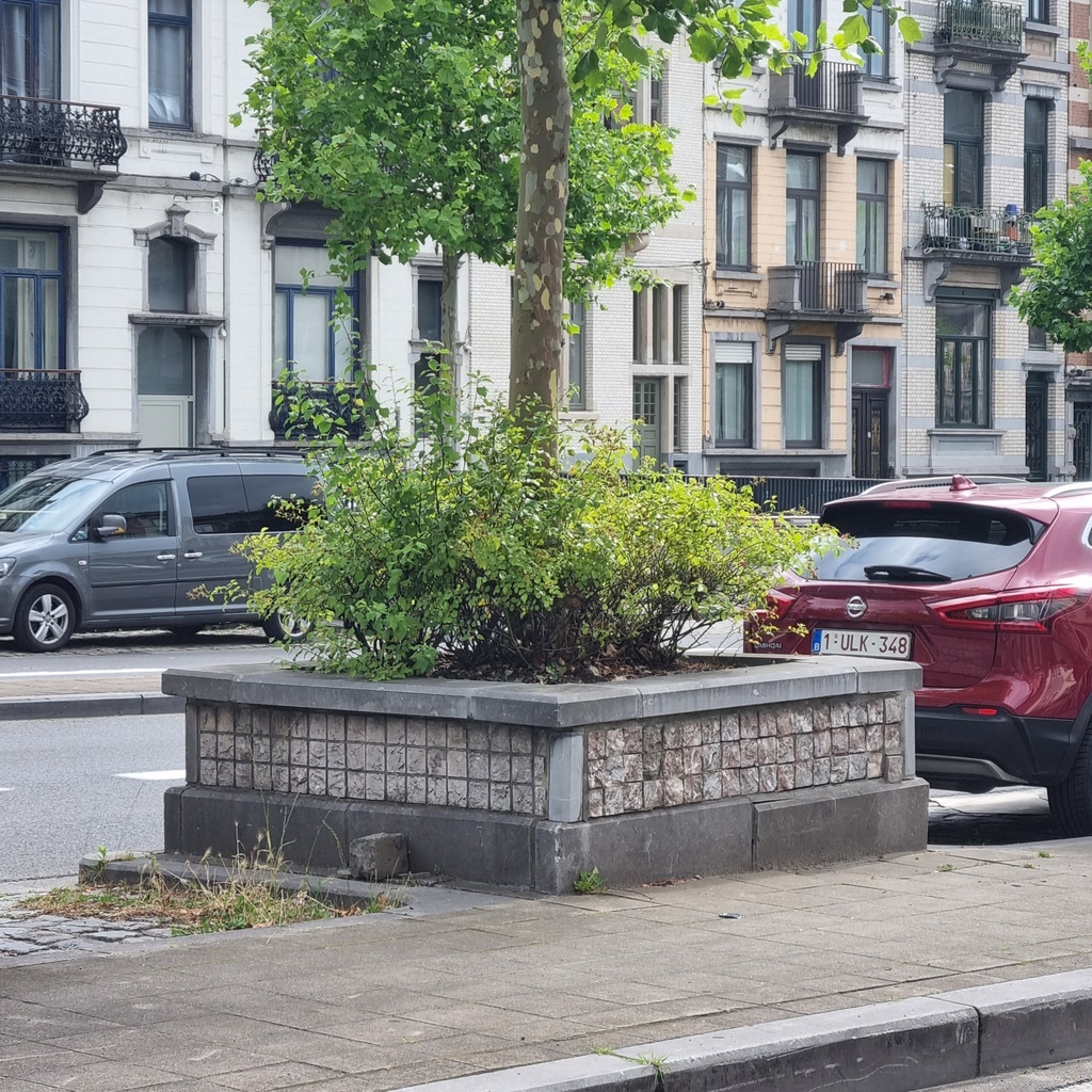 Blue limestone slabs from an urban flowerpot in Brussels - Only available in our physical shop