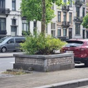 Blue limestone slabs from an urban flowerpot in Brussels - Only available in our physical shop