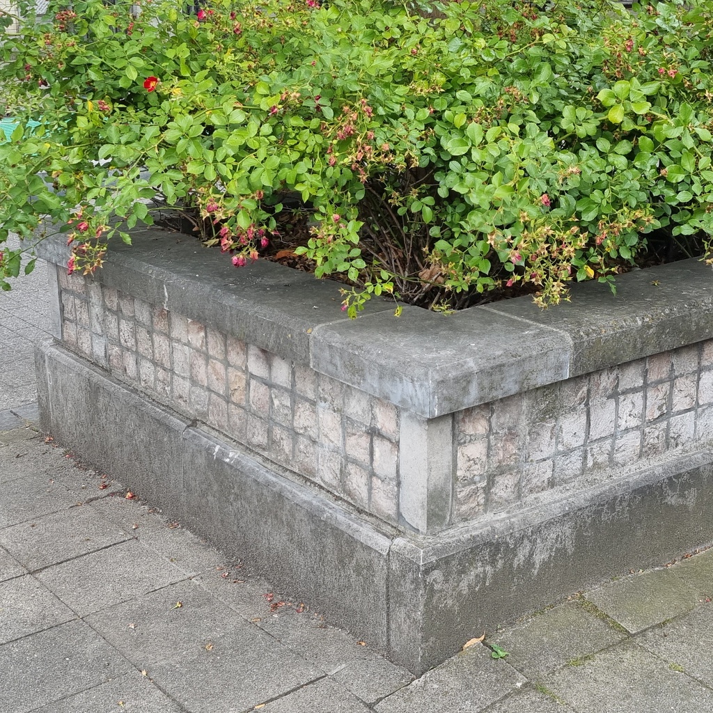 Blue limestone slabs from an urban flowerpot in Brussels - Only available in our physical shop