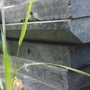 Black granite slabs (various sizes) - Only available in our physical shop