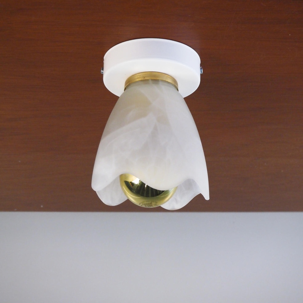 Wall/Ceiling light 'Babette' in frosted glass