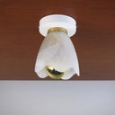 Wall/Ceiling light 'Babette' in frosted glass