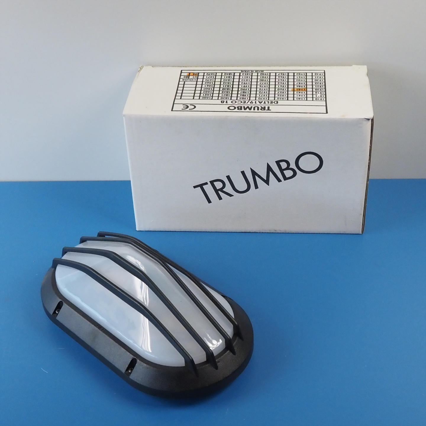 Caged wall/ceiling light 'Delta Ovalado' by Trumbo (IP66) - Black