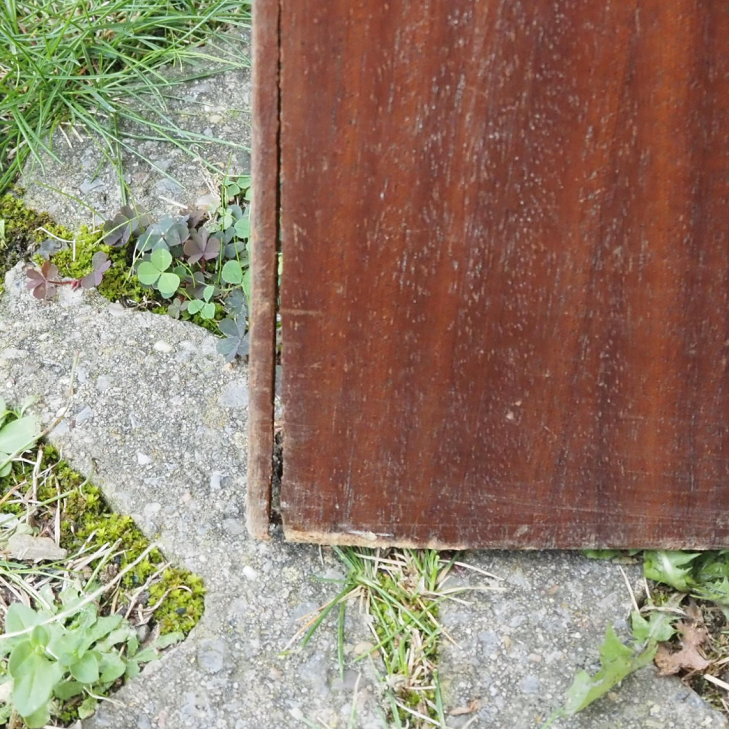 Wooden door with textured glass panel (H. 200,5 cm x W. 73 cm) - Left