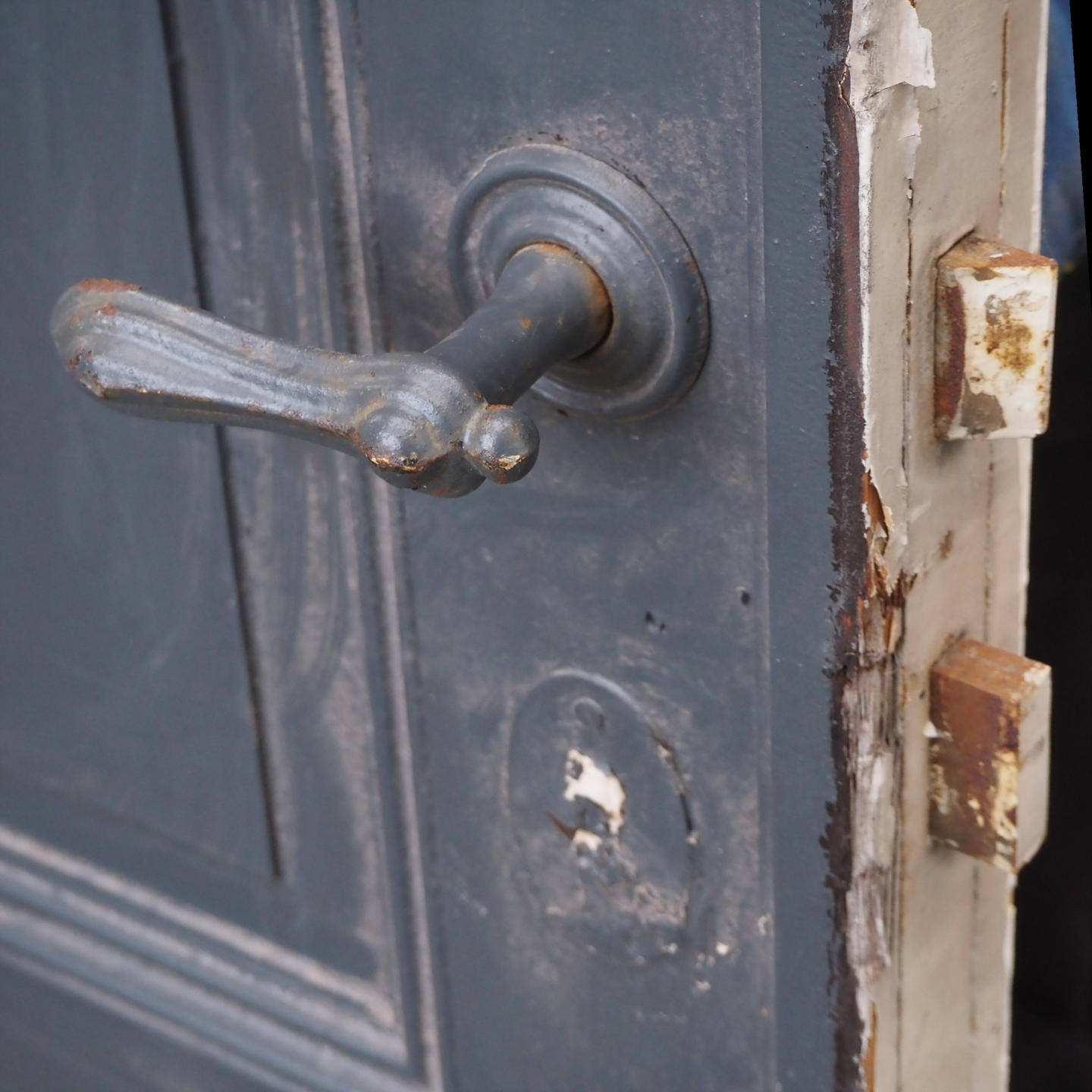 Wooden door (H. 226 cm x W. 83 cm) - Left