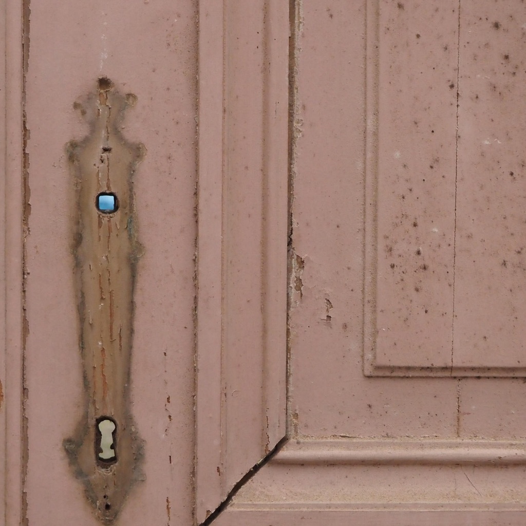 Wooden door (H. 248 cm x W. 100 cm) - Right