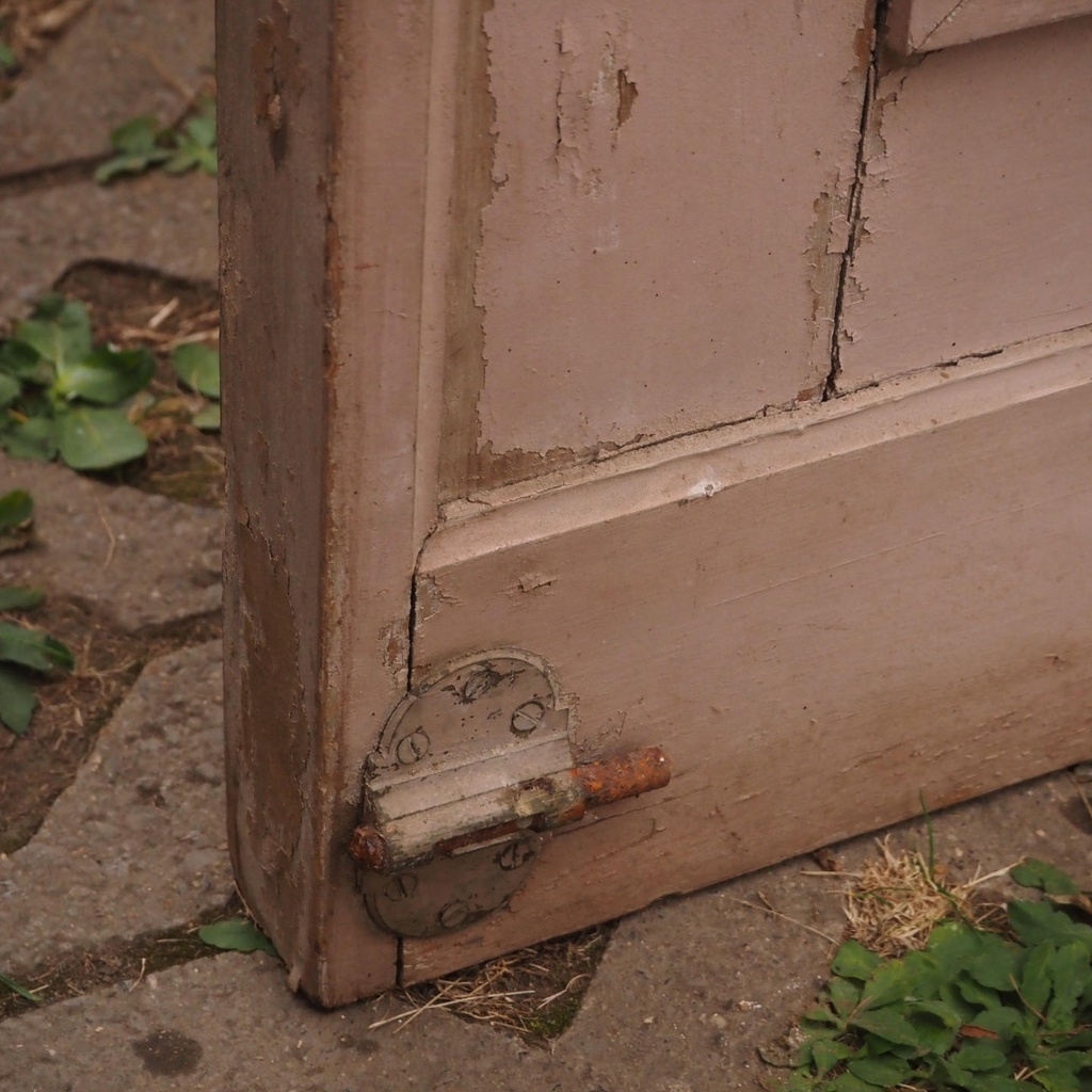 Wooden door (H. 248 cm x W. 100 cm) - Right