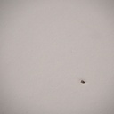 Office desk 'Project' by Drisag (200 x 80 cm) - Anthracite