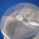 Wall light with textured plastic diffuser by Legrand (IP44)