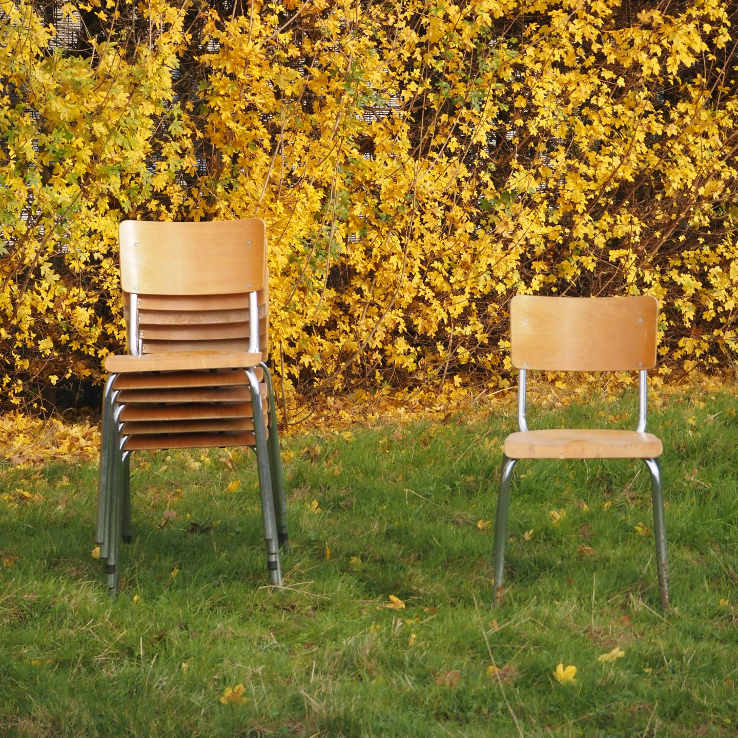 Stackable school chair with chromed steel legs