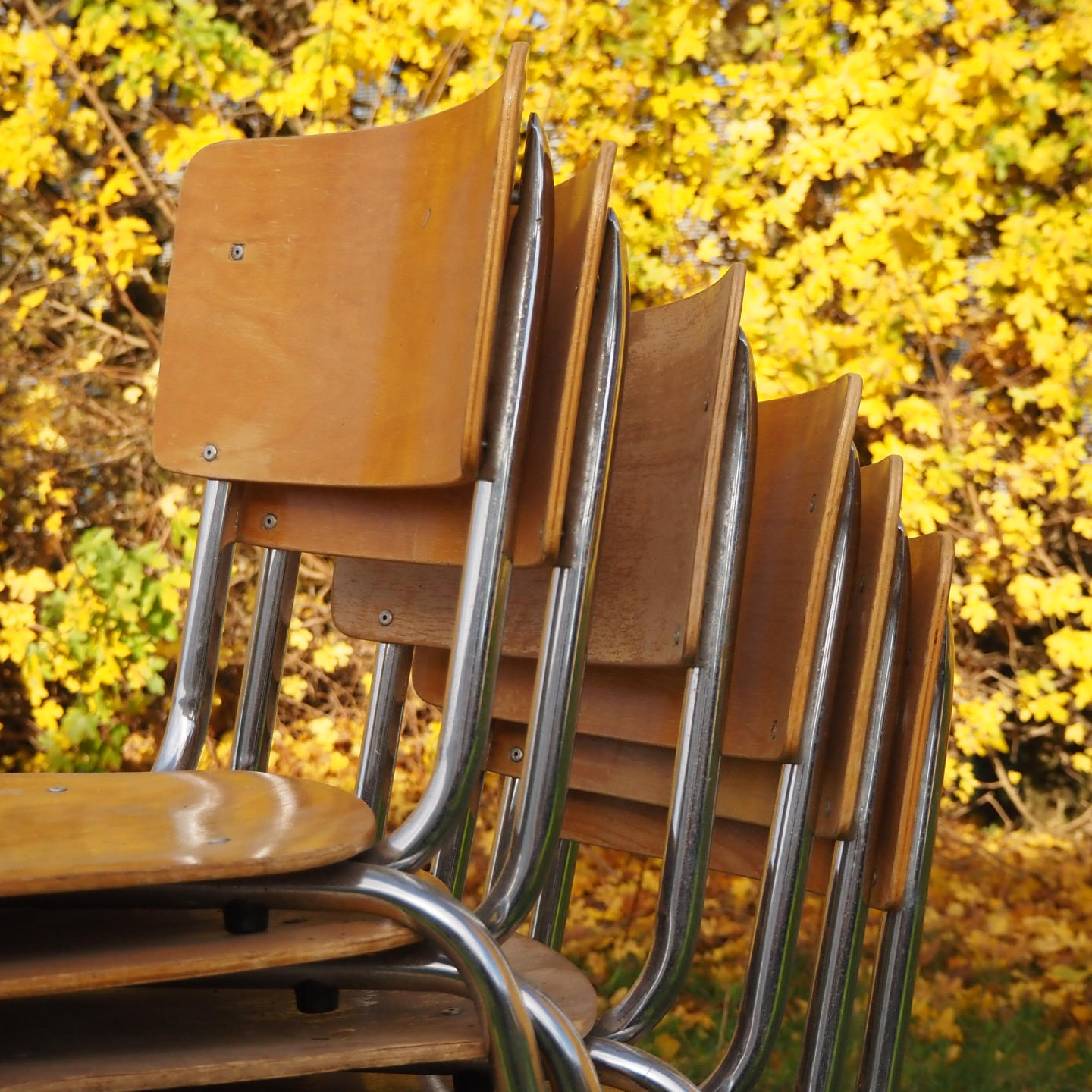 Stackable school chair with chromed steel legs