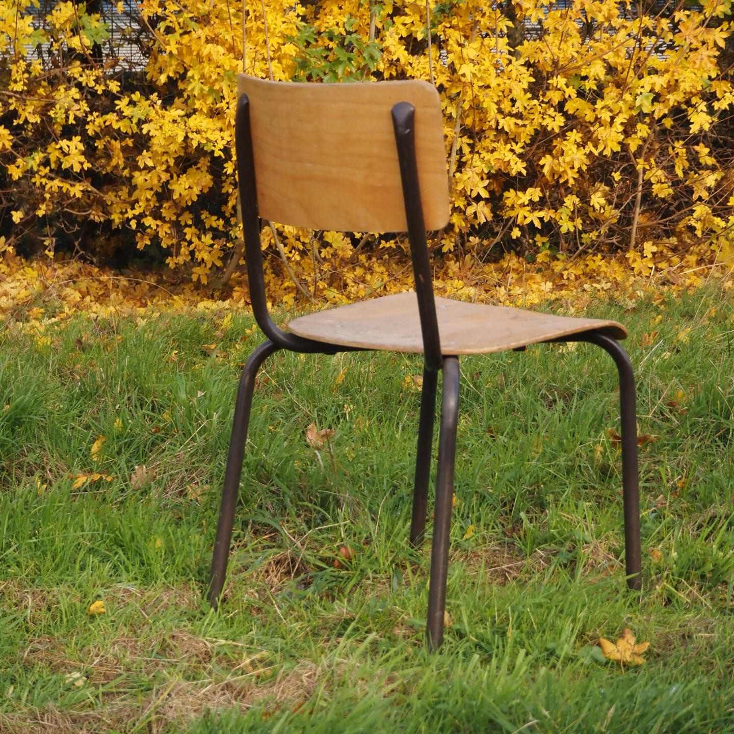Stackable school chair with brown steel legs
