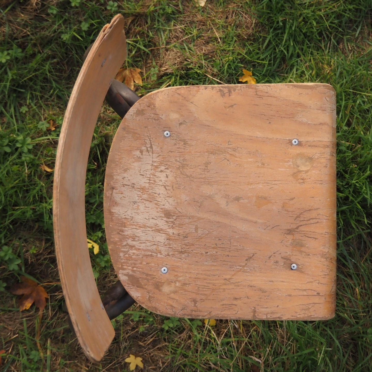 Stackable school chair with brown steel legs