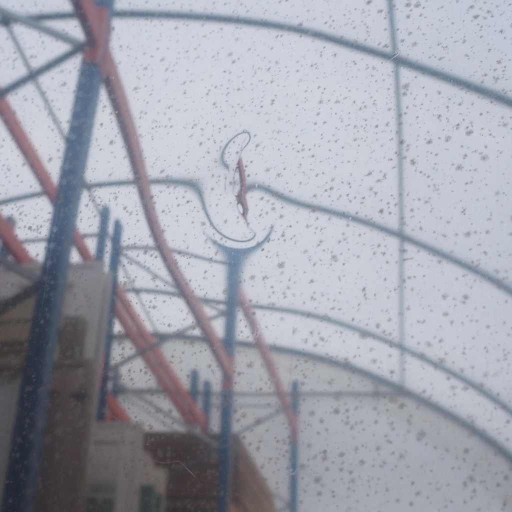 Door in stainless steel from the Générale de Banque (H. 198 x 92,5 cm)