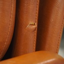 Stackable chair in brown synthetic leather from Antwerp's Court of Appeal