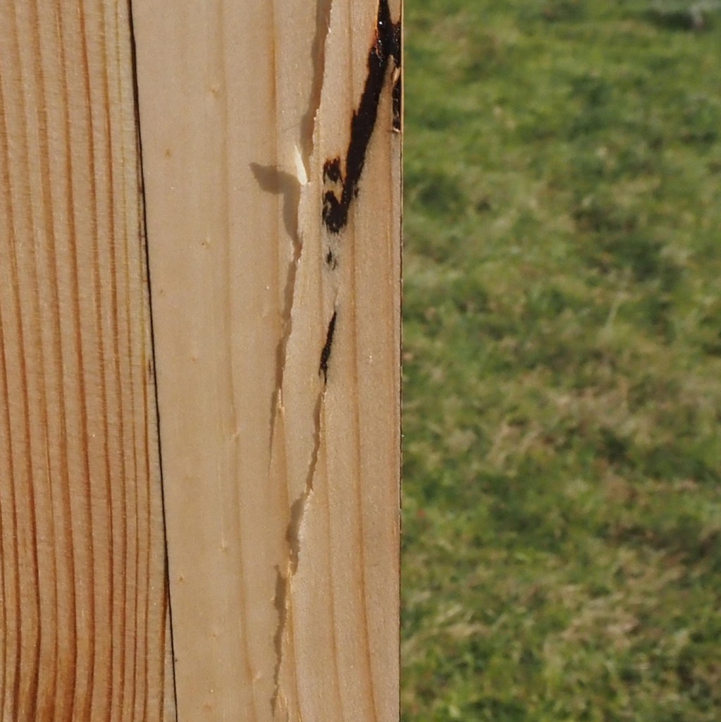 Glued laminated timber panel