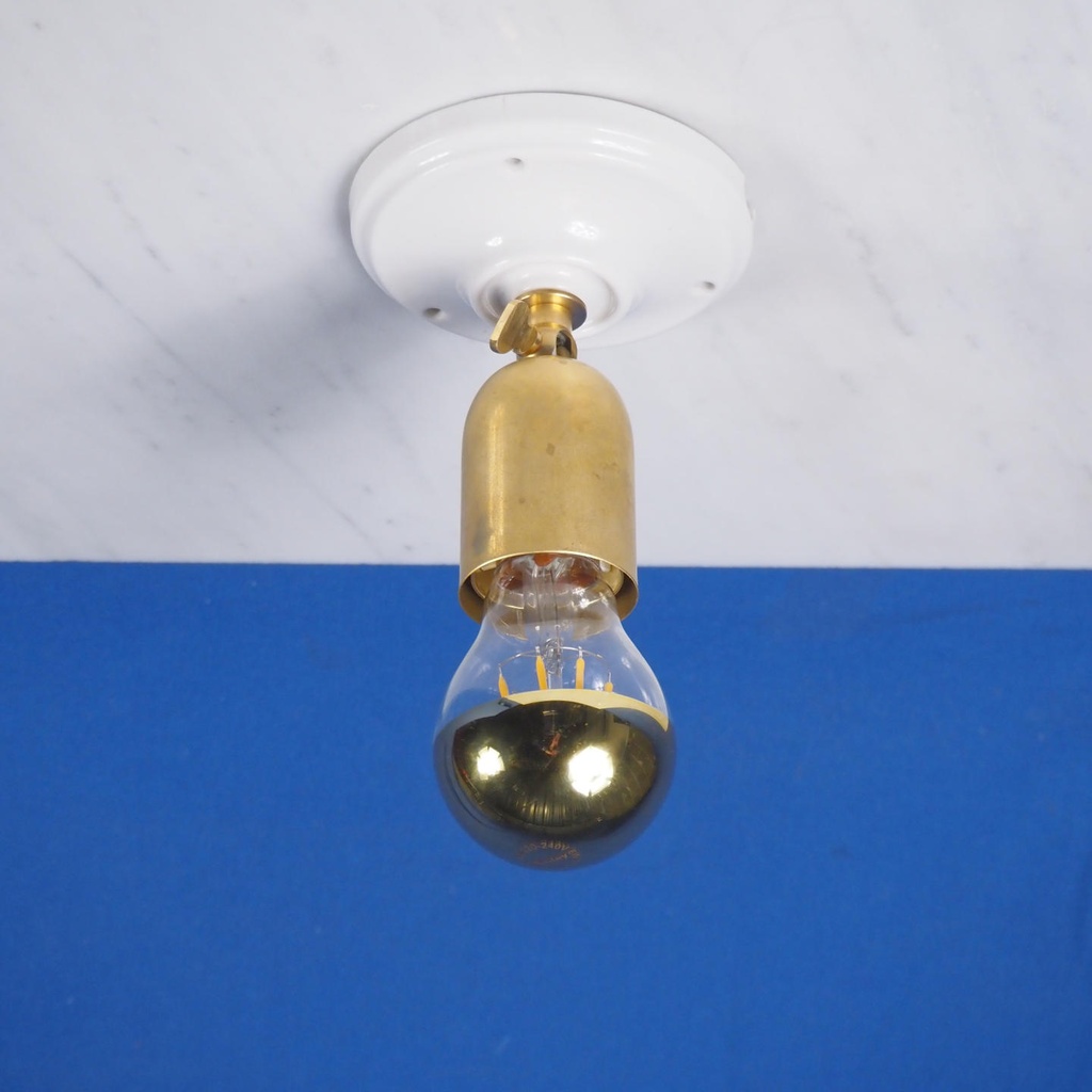 Swivel wall/ceiling brass socket with porcelain base (E27)