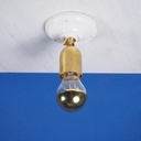 Swivel wall/ceiling brass socket with porcelain base (E27)