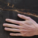 Glued laminated timber panel (L. ± 245 x W. 95 cm)