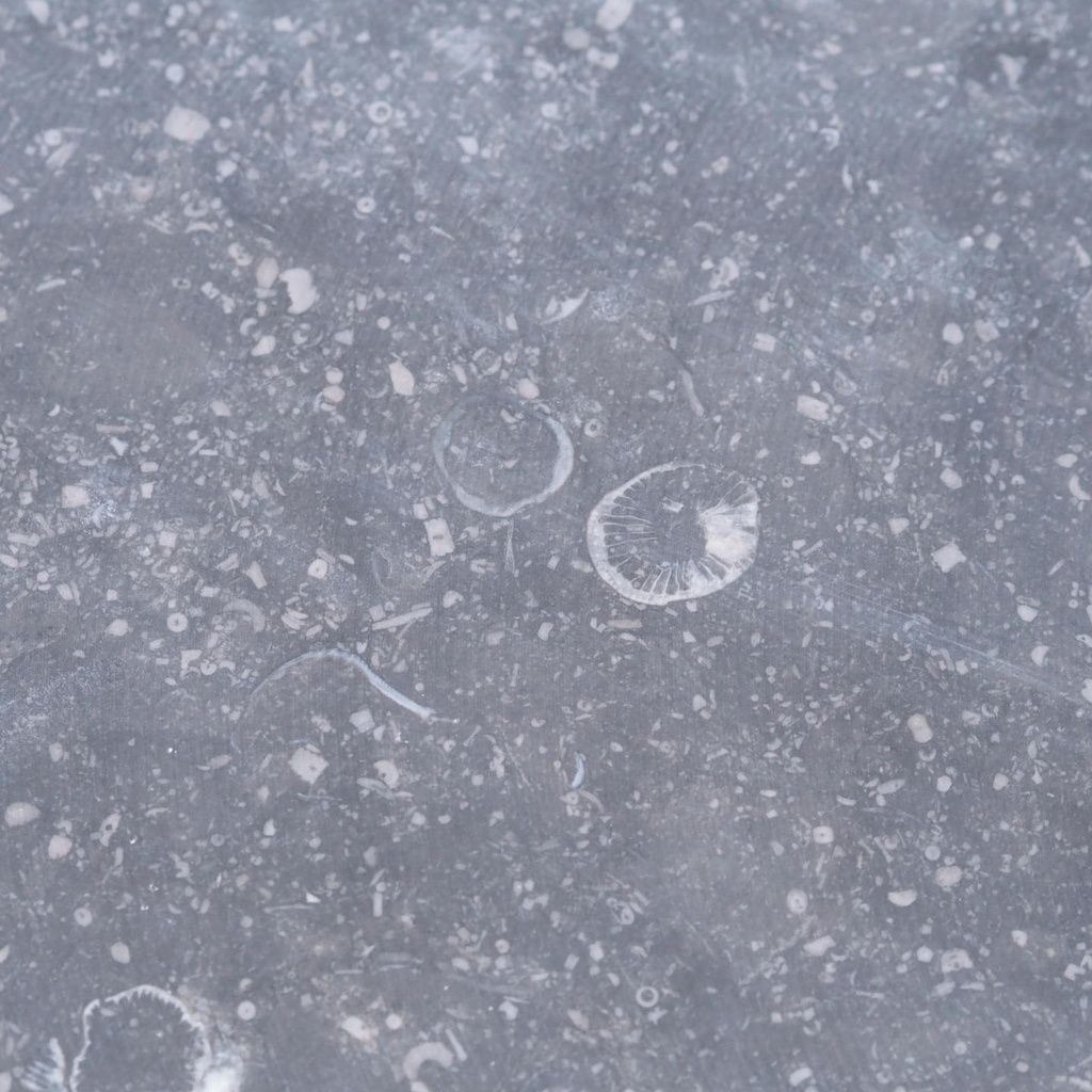 Blue limestone slabs - Sold per linear meter