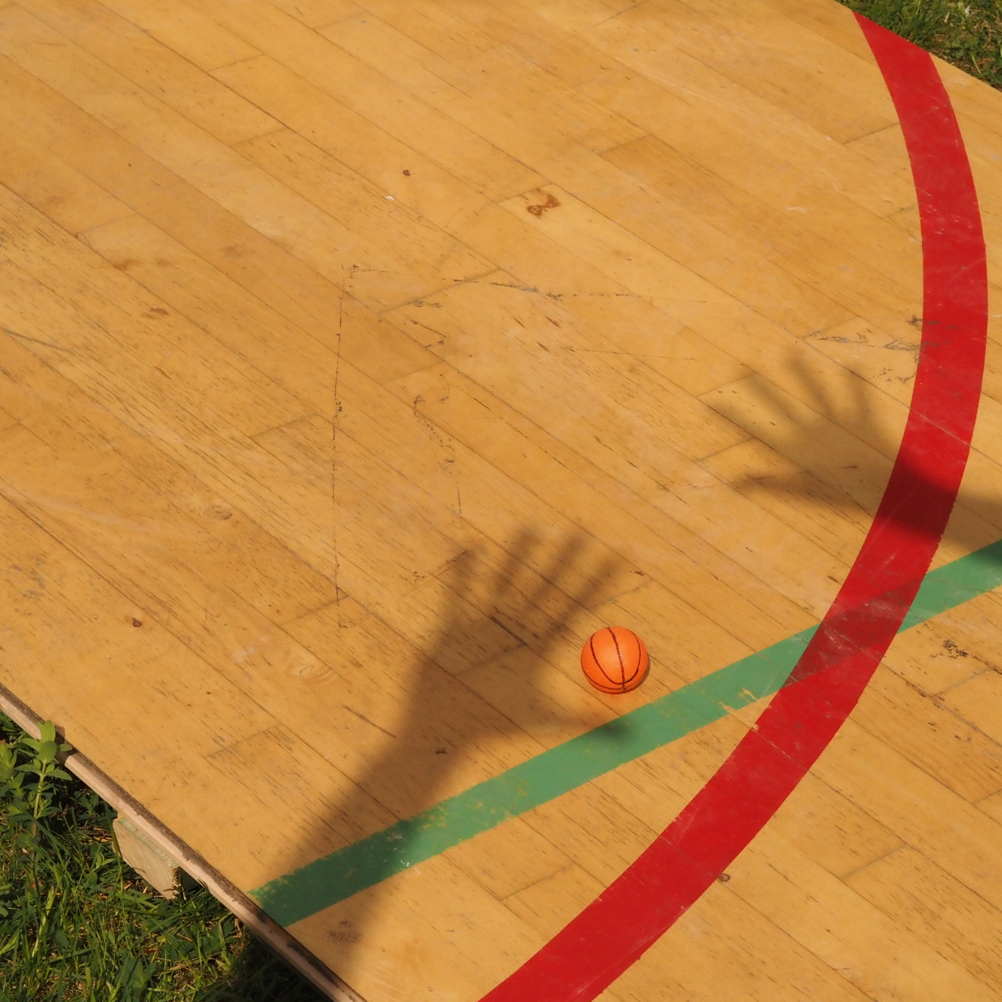 Gymnasium flooring panel in varnished solid beech (222 x 122 cm) - Sold per panel