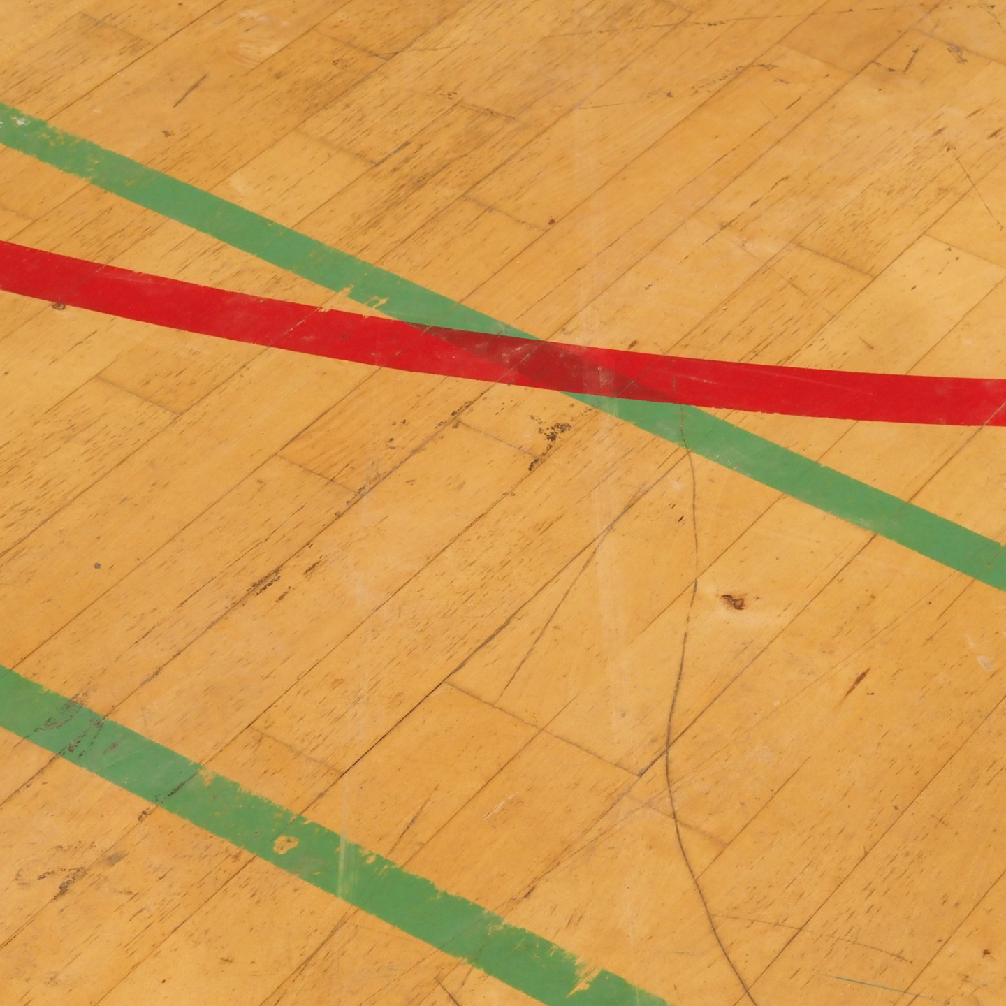 Gymnasium flooring panel in varnished solid beech (222 x 122 cm) - Sold per panel