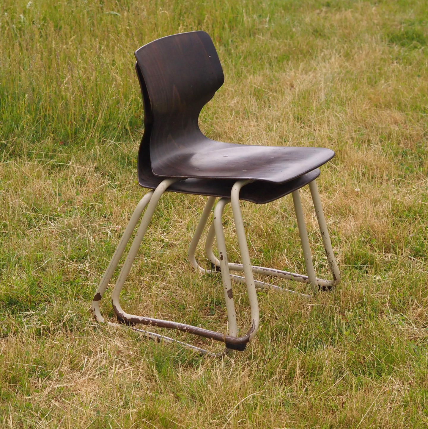 Stackable school chair in pagwood by Fpf Flötotto (Pagholz)