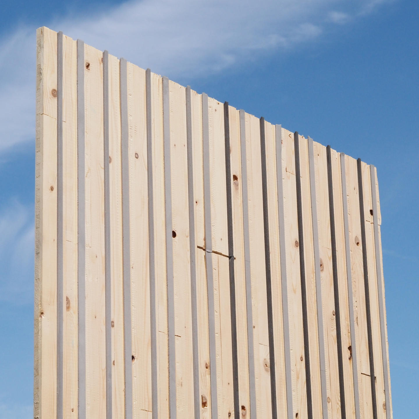 Gymnasium panel in cross-laminated timber with maple veneer (222 x 122 cm) - Sold per panel