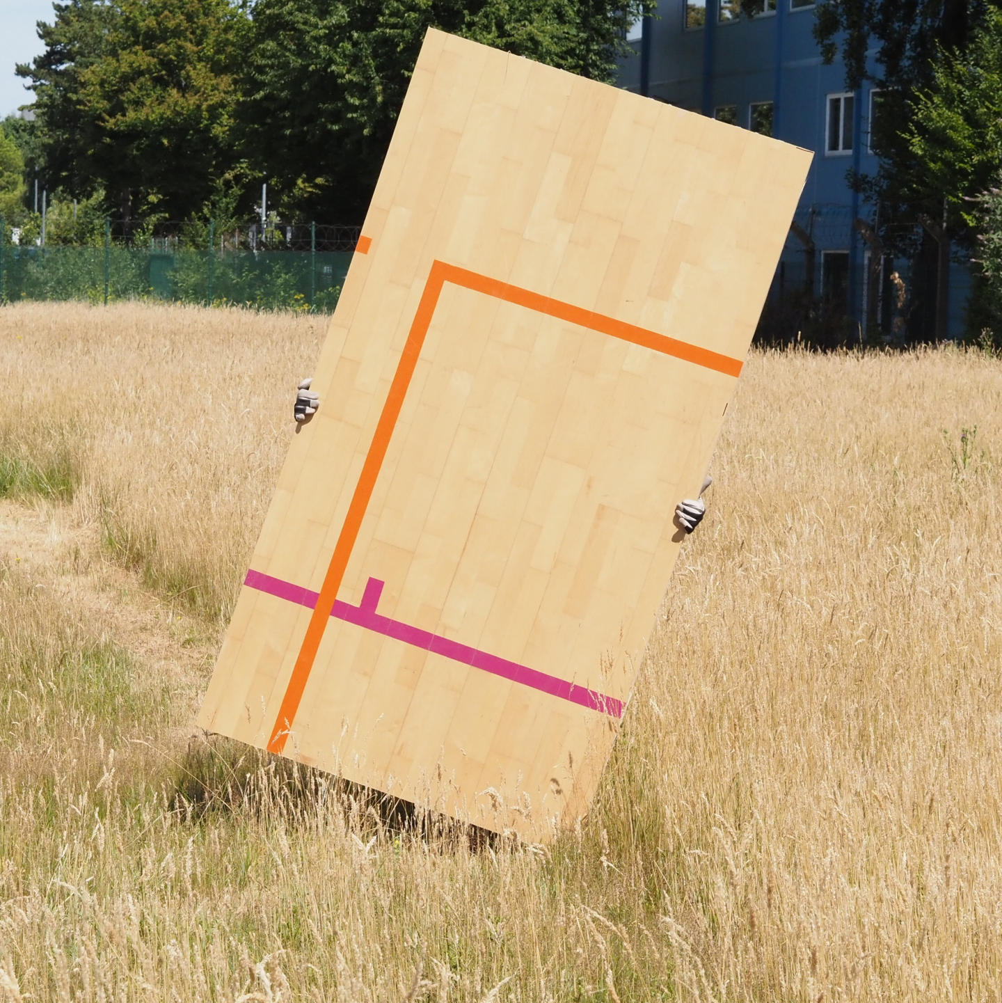 Gymnasium panel in cross-laminated timber with maple veneer (222 x 122 cm) - Sold per panel