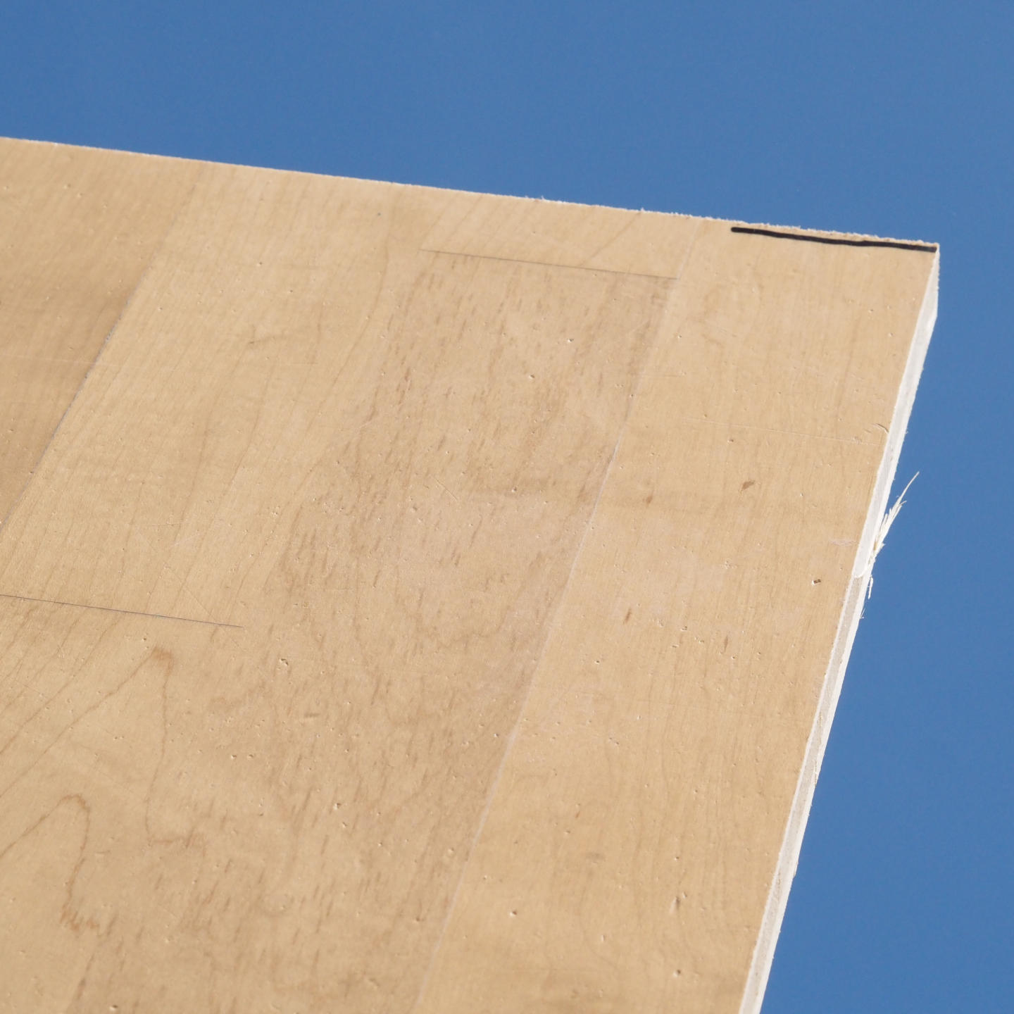 Gymnasium panel in cross-laminated timber with maple veneer (222 x 122 cm) - Sold per panel