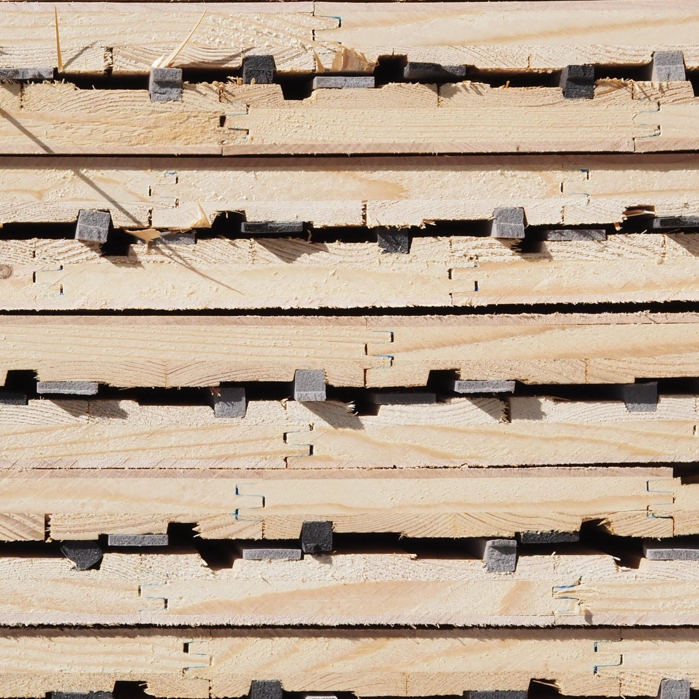 Gymnasium panel in cross-laminated timber with maple veneer (222 x 122 cm) - Sold per panel