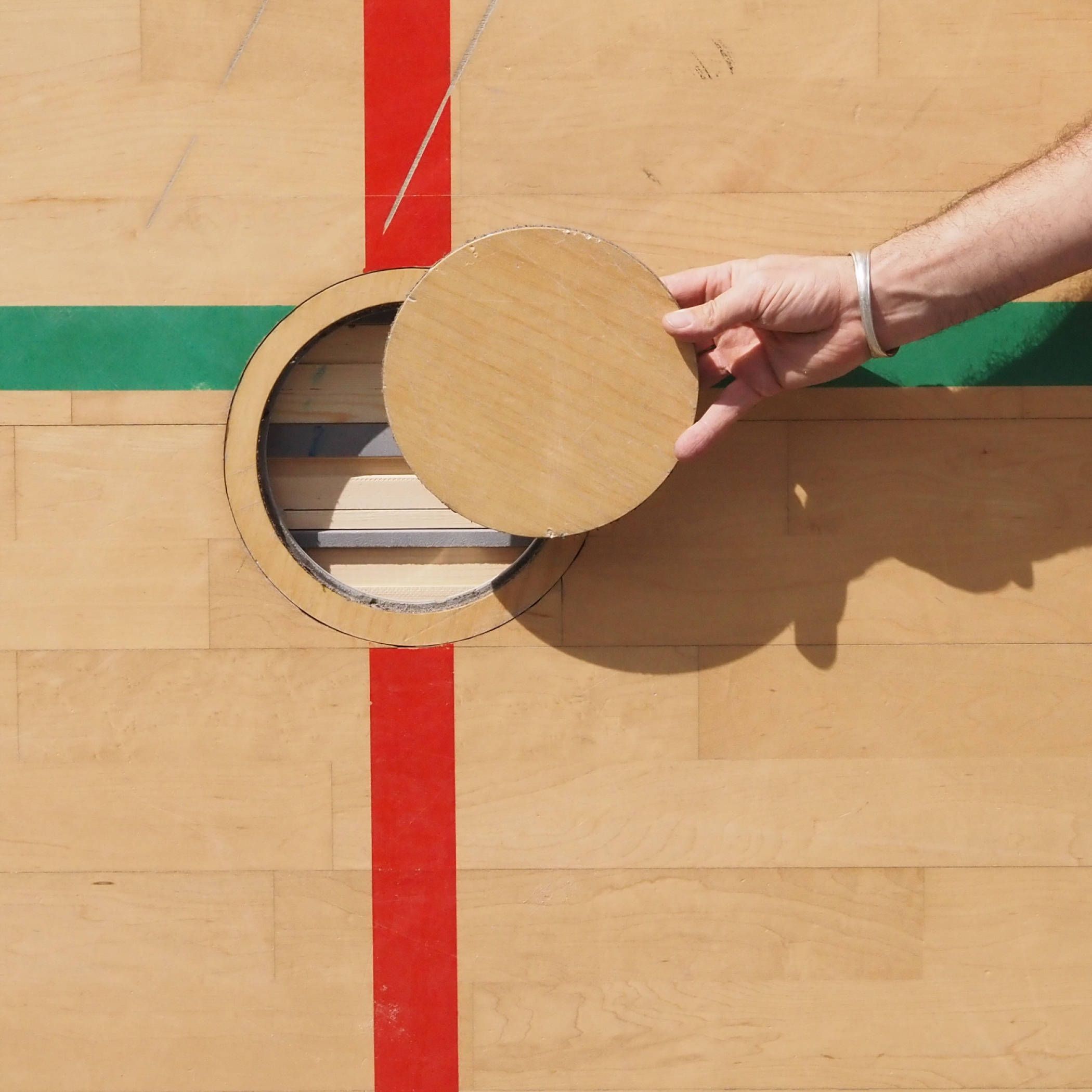 Gymnasium panel in cross-laminated timber with maple veneer (222 x 122 cm) - Sold per panel