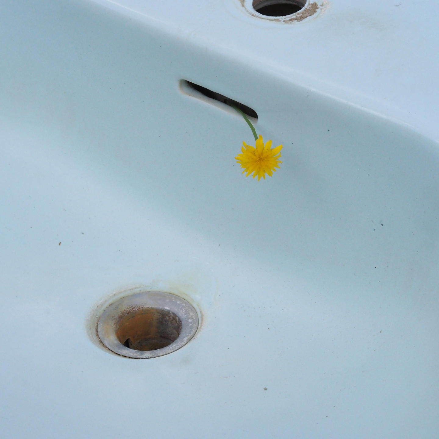 Pedestal bathroom sink by Pozzi